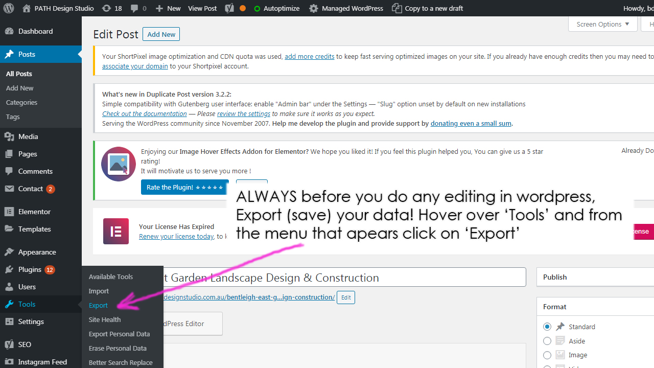 itDoesCompute_export-save-your-date-before-editing-in-elementor-wordpress_01