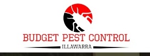 SEO and website fix up for Budget Pest Control Illawarra