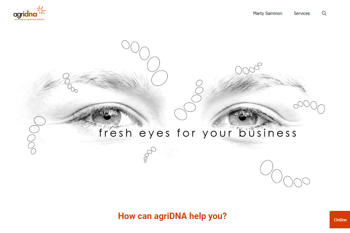 Website-Design